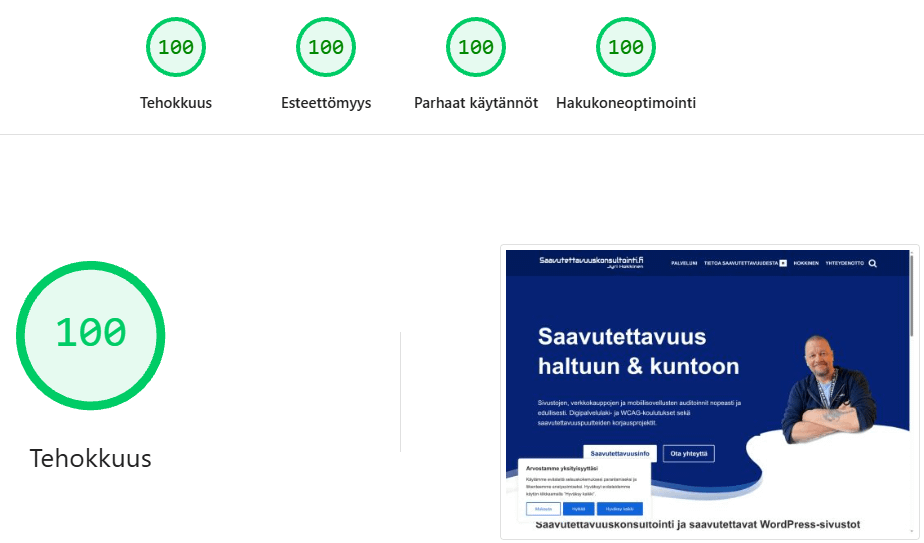 Kuva tämän sivuston Google PSI-arviosta, josta täydet 100/100/100/100 pistettä